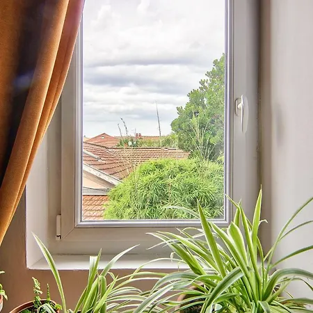 Cozy *toulouse*