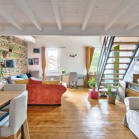 Appartement Cozy *toulouse* Toulouse